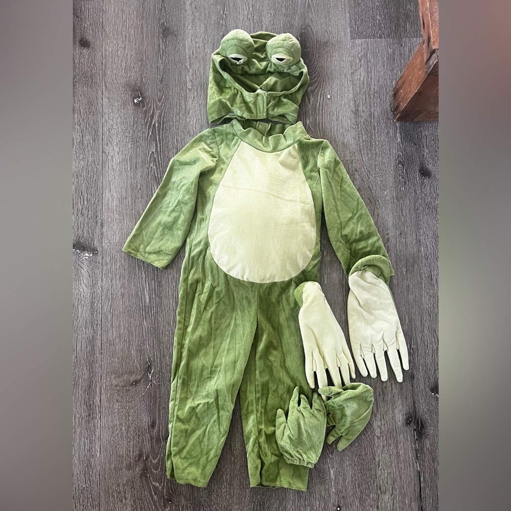 2T frog Halloween costume